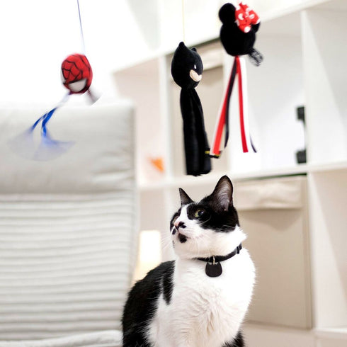 Juguete para gatos Batman Negro